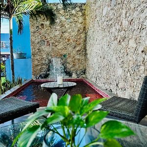 Hotel Maculis